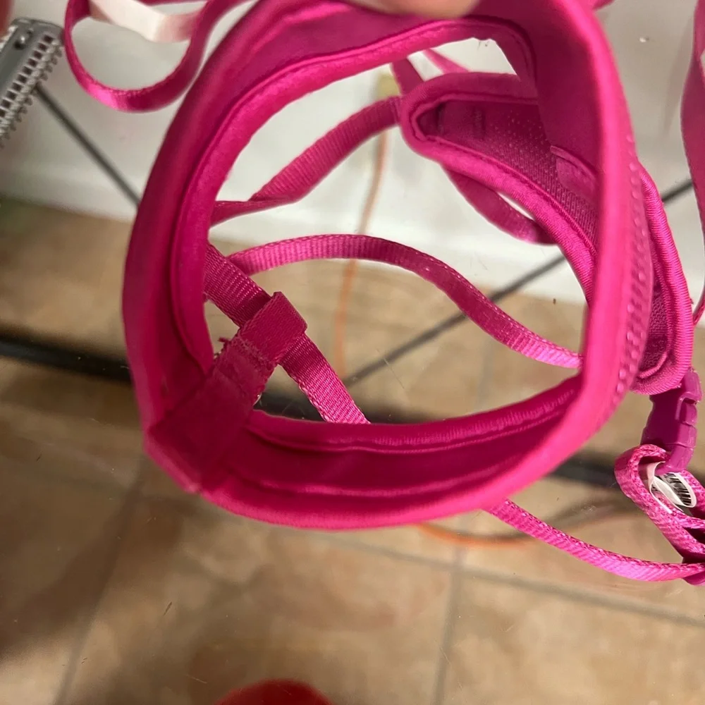 Pet accessories bundle